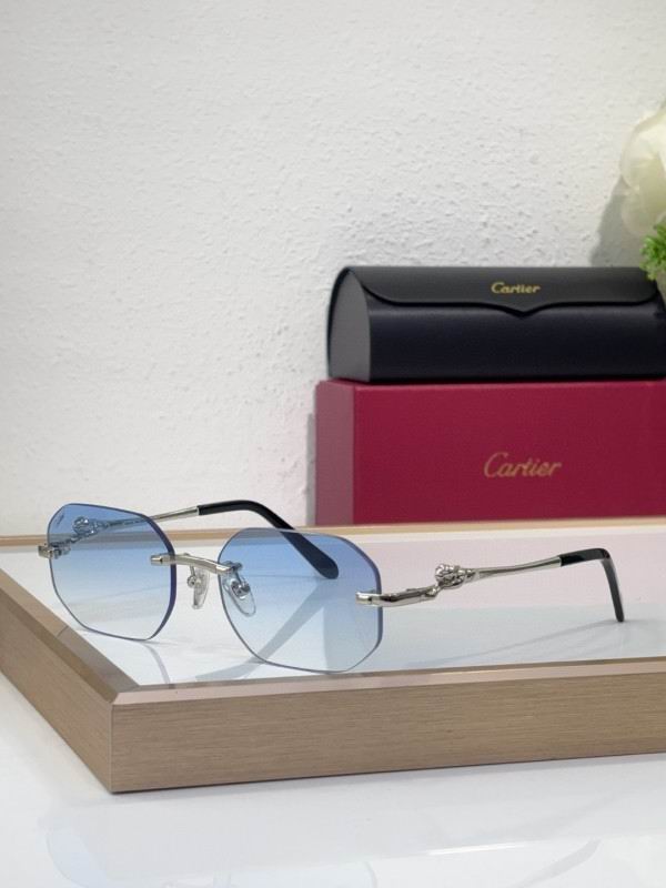 Cartier Glasses 08smh213 (6)
