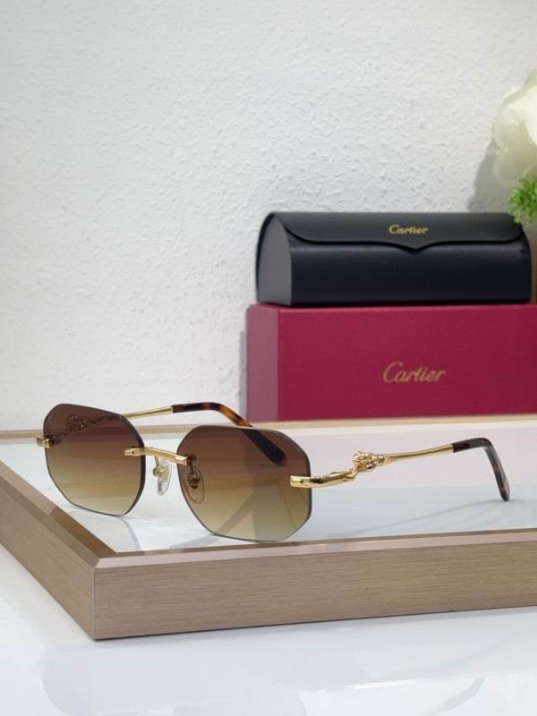 Cartier Glasses 08smh213 (7)