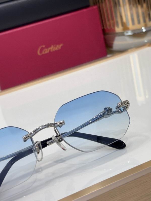 Cartier Glasses 08smh213 (8)