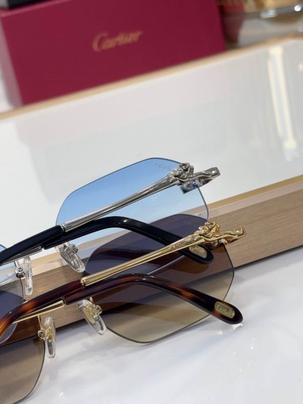 Cartier Glasses 08smh213 (9)