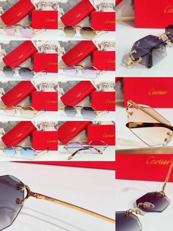 Cartier Glasses 08smh215 (10)