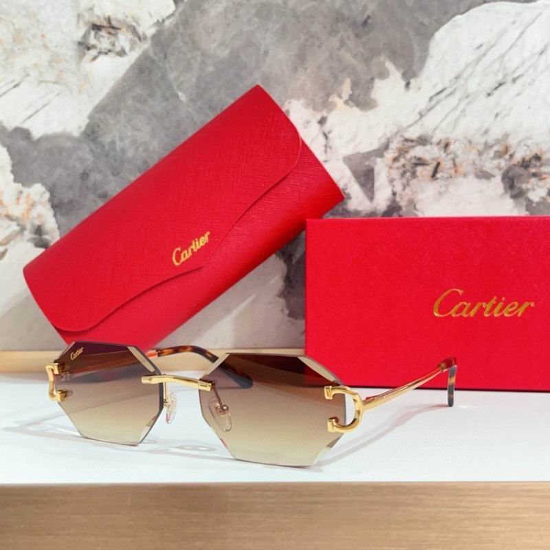 Cartier Glasses 08smh215 (2)