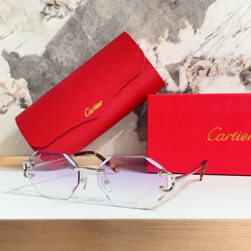 Cartier Glasses 08smh215 (6)