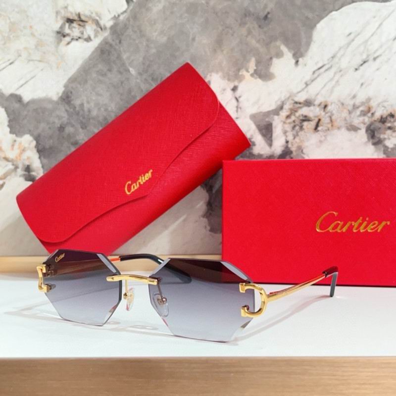 Cartier Glasses 08smh215 (7)