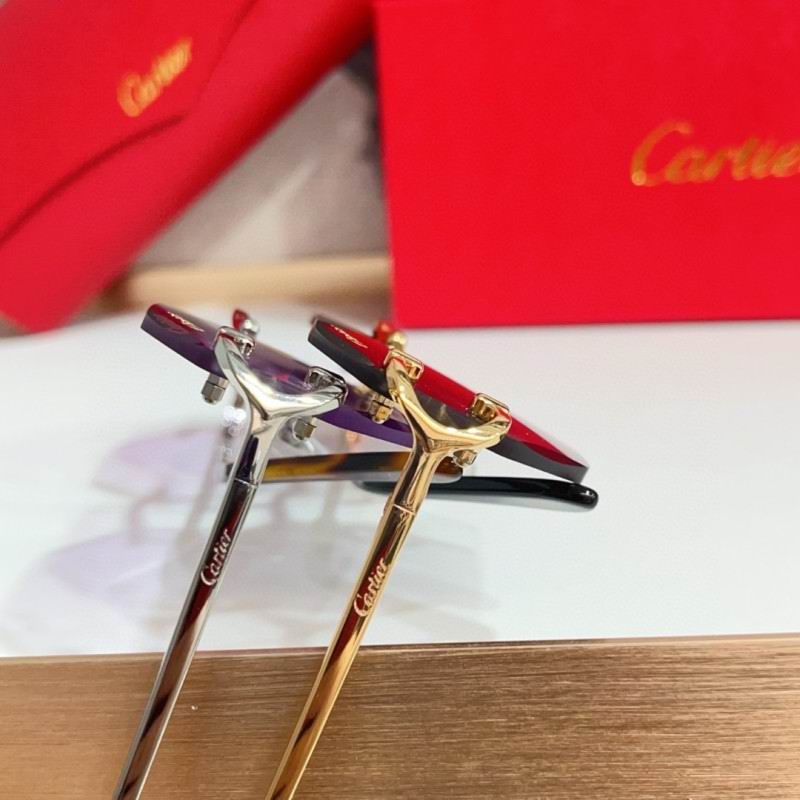 Cartier Glasses 08smh215 (8)