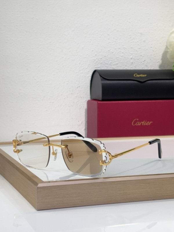 Cartier Glasses 08smh216 (3)