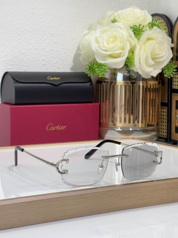 Cartier Glasses 08smh216 (6)