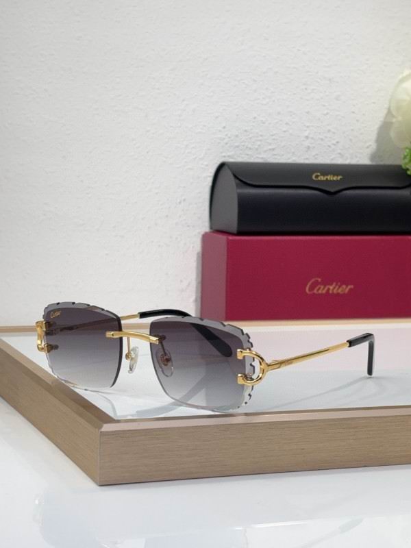 Cartier Glasses 08smh217 (1)