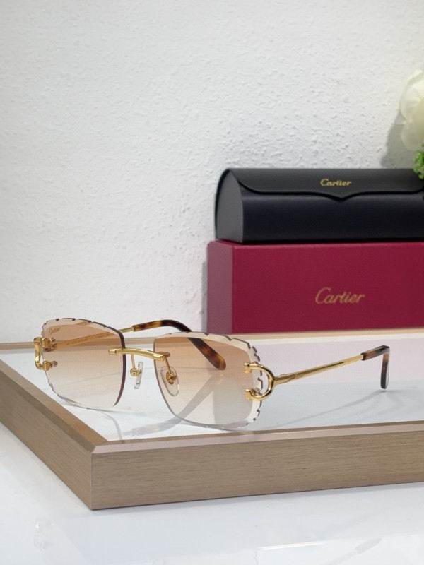 Cartier Glasses 08smh217 (4)