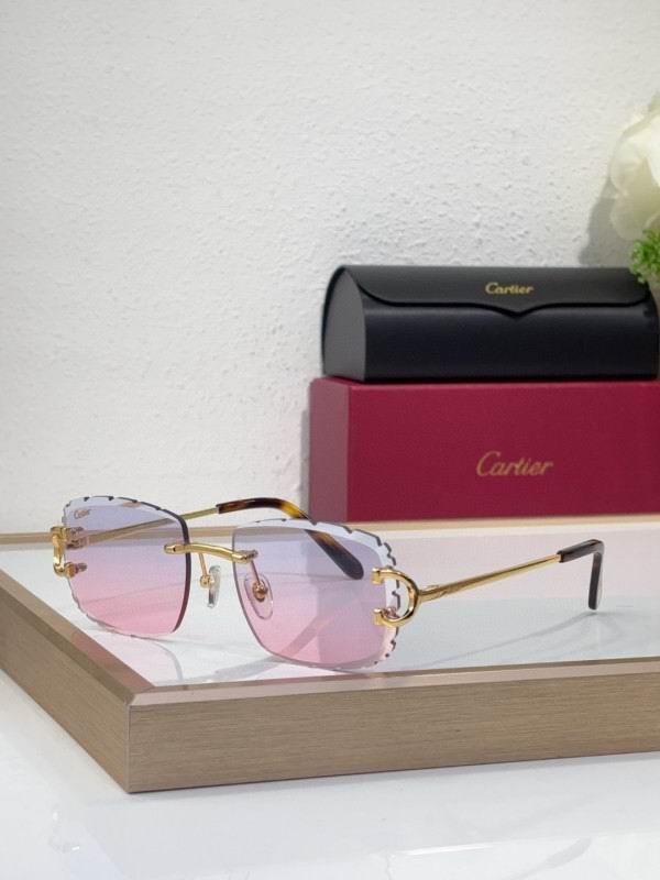 Cartier Glasses 08smh217 (5)