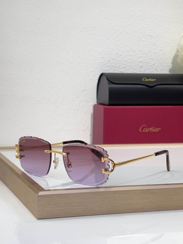 Cartier Glasses 08smh217 (6)