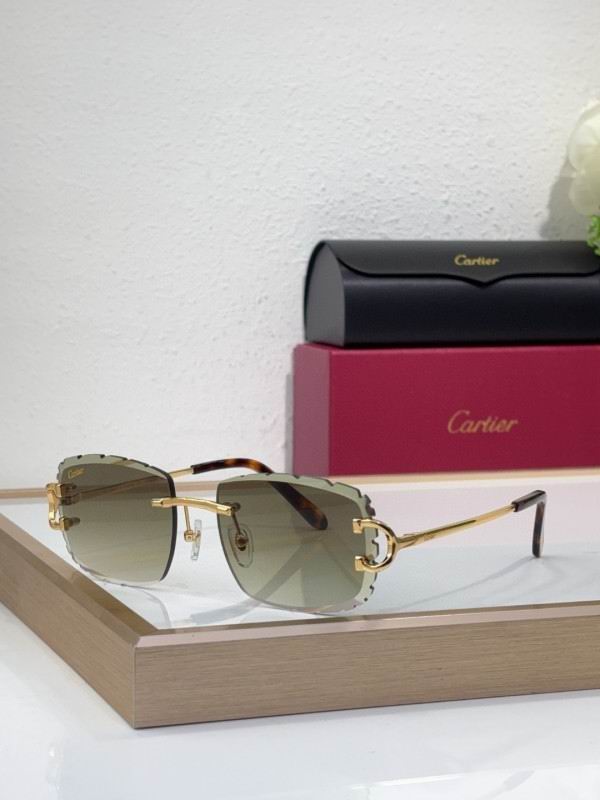 Cartier Glasses 08smh217 (7)