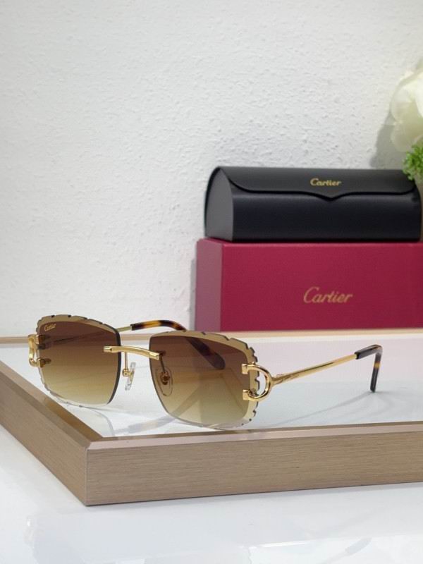 Cartier Glasses 08smh217 (8)