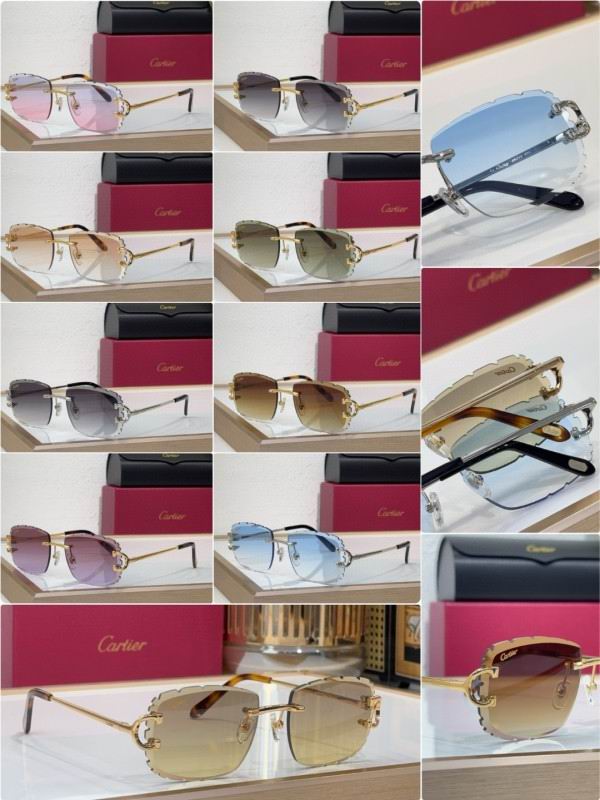 Cartier Glasses 08smh217 (9)