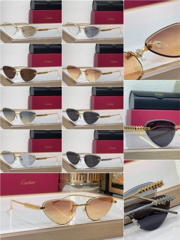 Cartier Glasses 08smh218 (10)