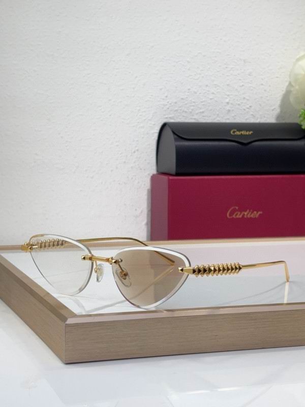 Cartier Glasses 08smh218 (2)