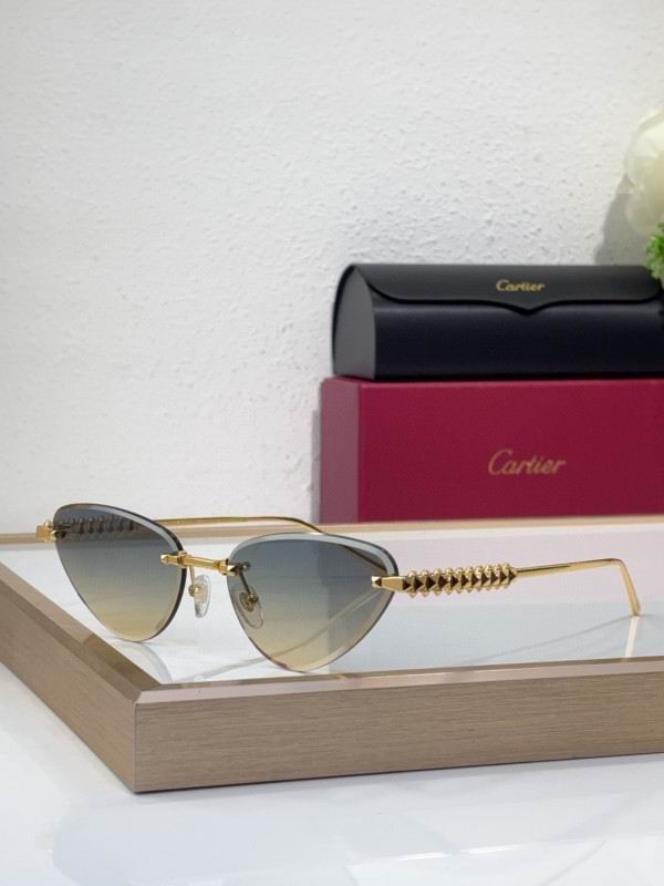 Cartier Glasses 08smh218 (5)