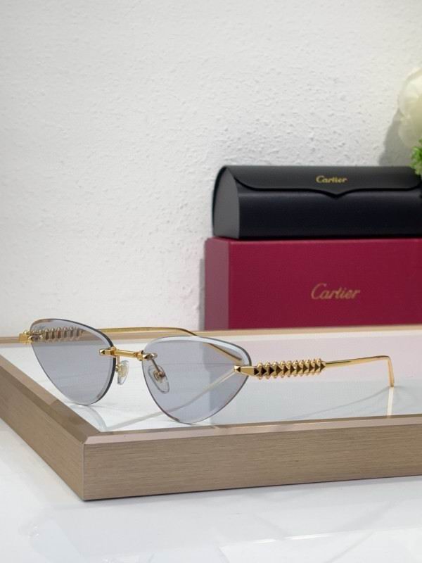 Cartier Glasses 08smh218 (6)