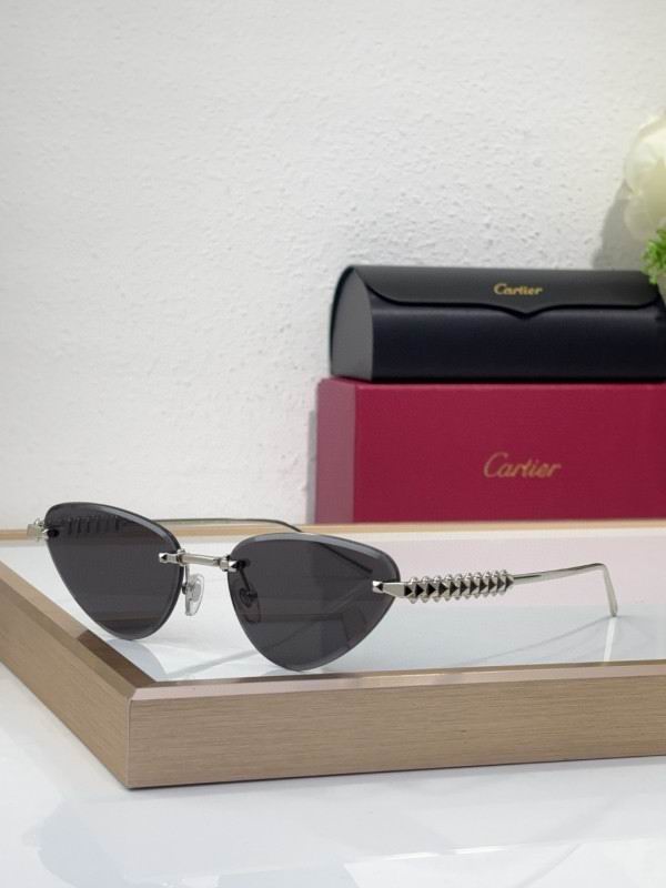 Cartier Glasses 08smh218 (7)