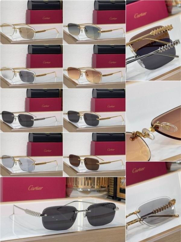 Cartier Glasses 08smh219 (10)