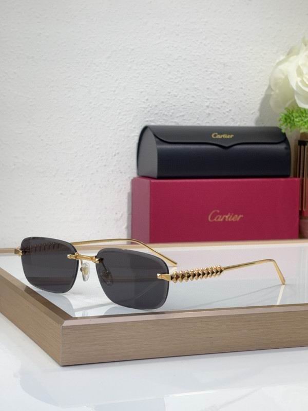 Cartier Glasses 08smh219 (3)