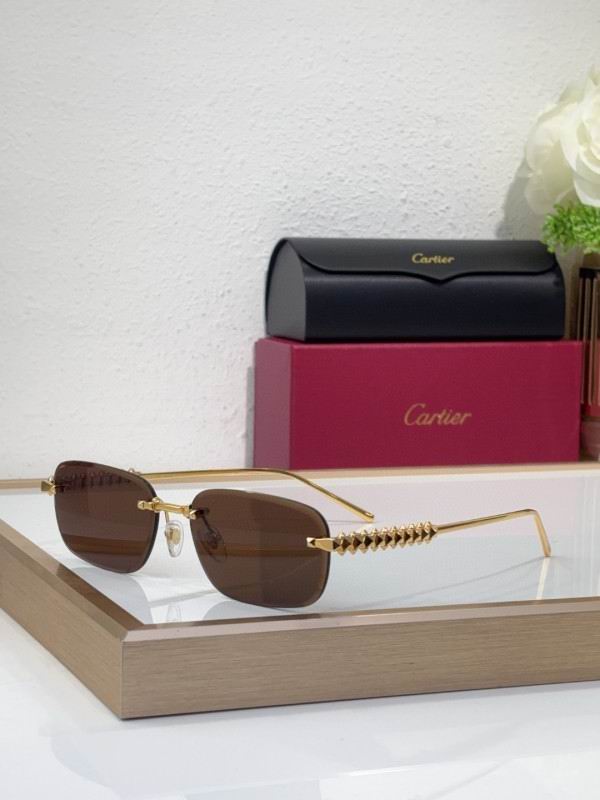 Cartier Glasses 08smh219 (4)