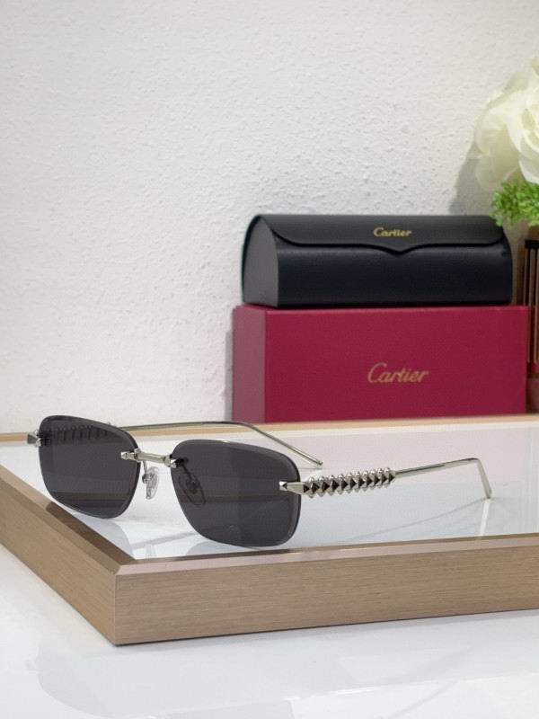 Cartier Glasses 08smh219 (5)