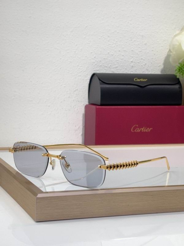 Cartier Glasses 08smh219 (6)