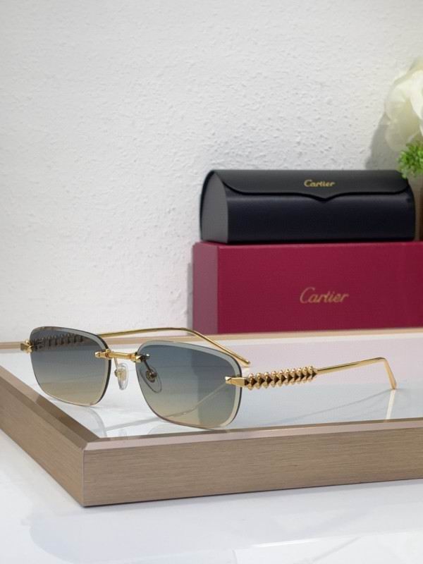 Cartier Glasses 08smh219 (7)