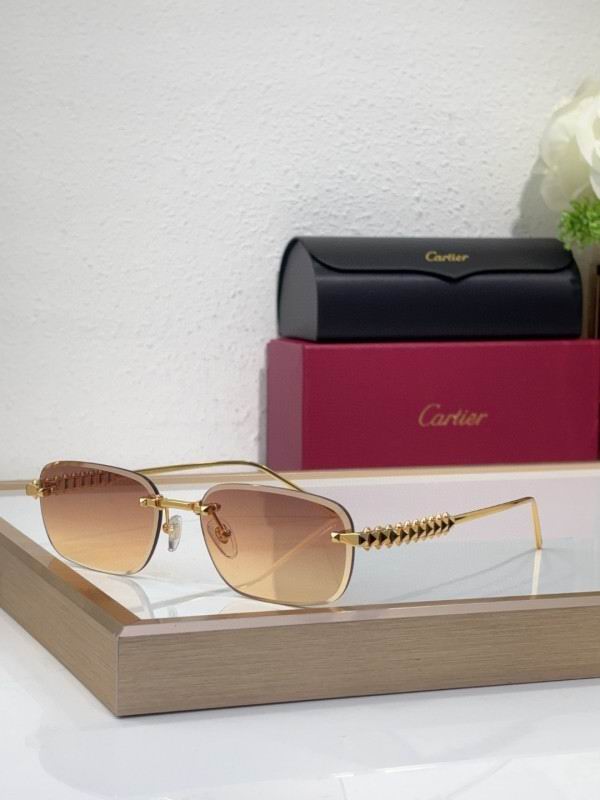 Cartier Glasses 08smh219 (8)