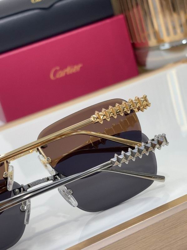 Cartier Glasses 08smh219 (9)