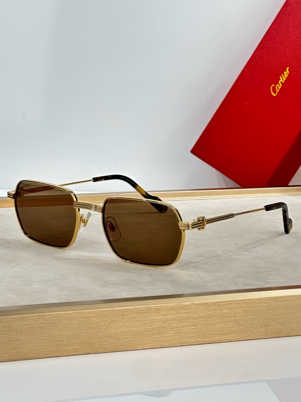 Cartier Glasses 08smh22 (1)