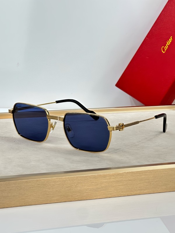 Cartier Glasses 08smh22 (3)