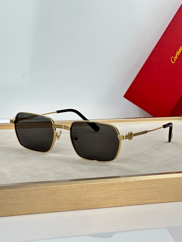 Cartier Glasses 08smh22 (5)