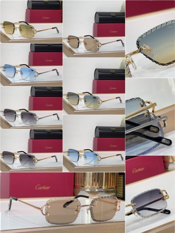 Cartier Glasses 08smh220 (10)