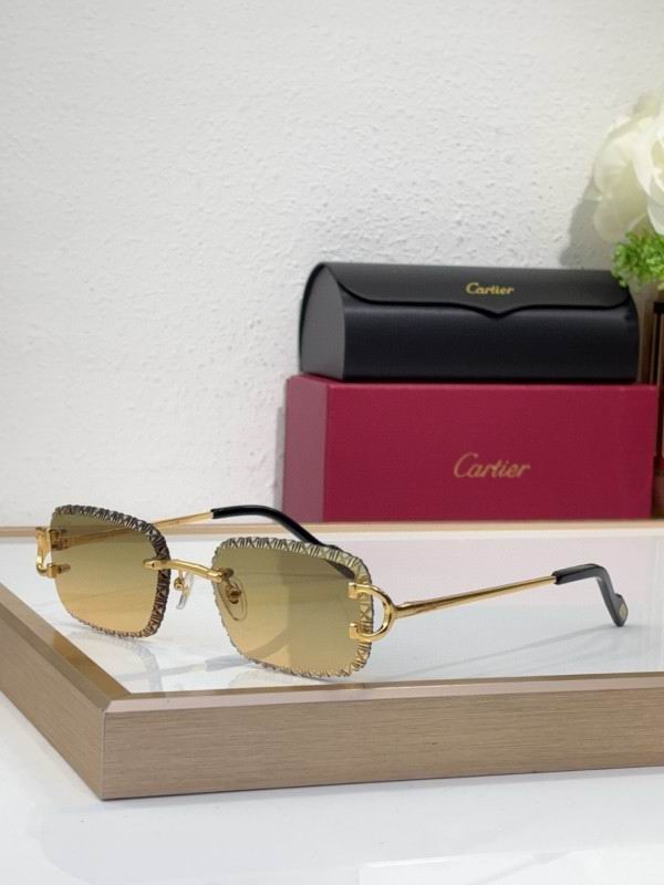 Cartier Glasses 08smh220 (2)