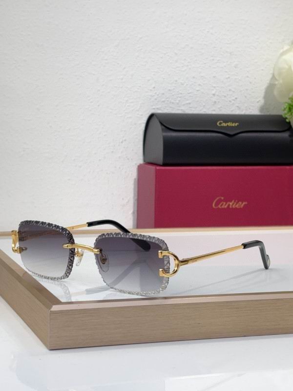 Cartier Glasses 08smh220 (7)