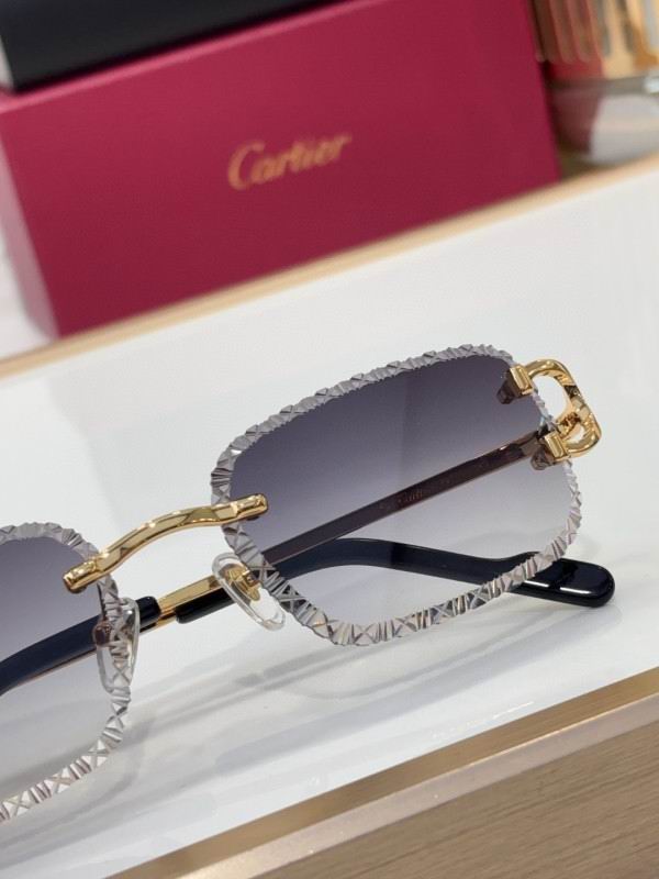 Cartier Glasses 08smh220 (8)