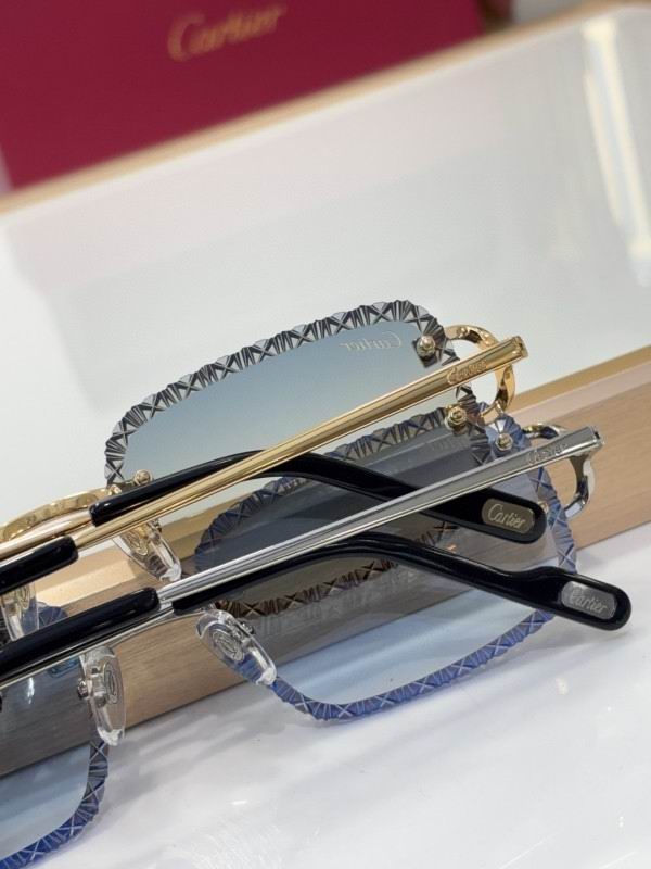 Cartier Glasses 08smh220 (9)