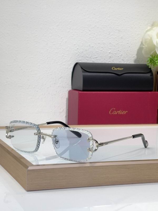 Cartier Glasses 08smh221 (4)