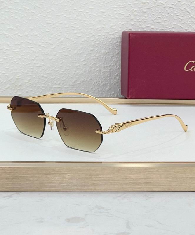 Cartier Glasses 08smh223 (1)