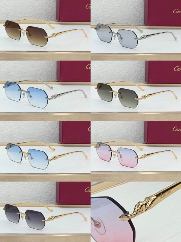 Cartier Glasses 08smh223 (10)