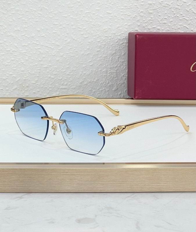 Cartier Glasses 08smh223 (3)