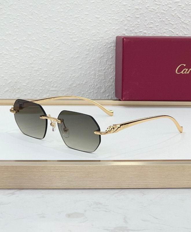 Cartier Glasses 08smh223 (4)