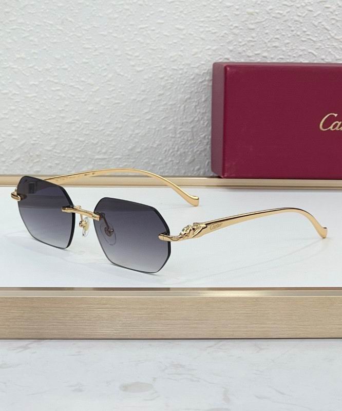 Cartier Glasses 08smh223 (6)