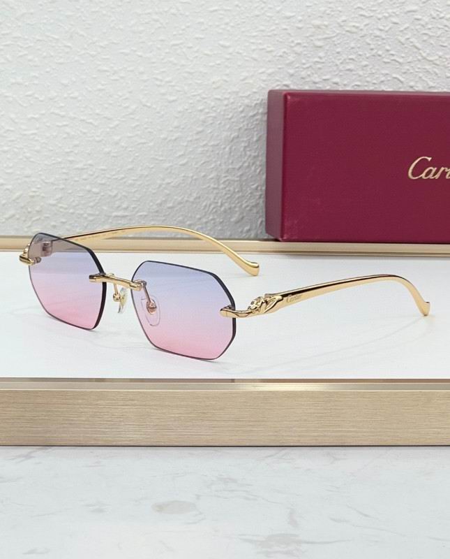 Cartier Glasses 08smh223 (7)