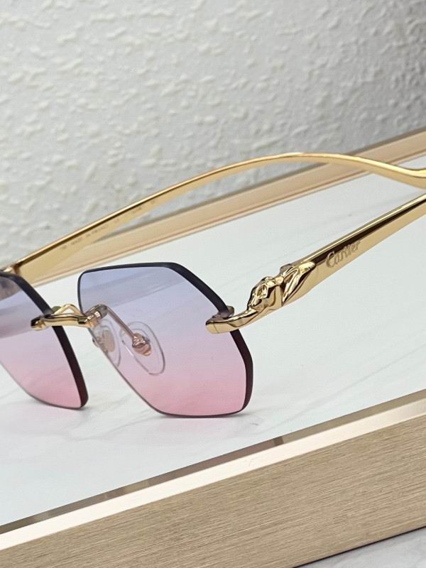 Cartier Glasses 08smh223 (8)