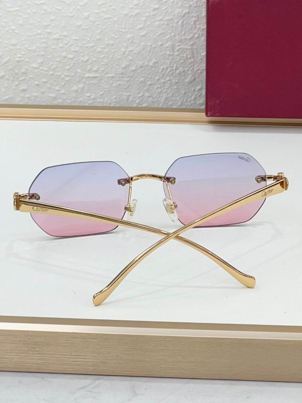 Cartier Glasses 08smh223 (9)