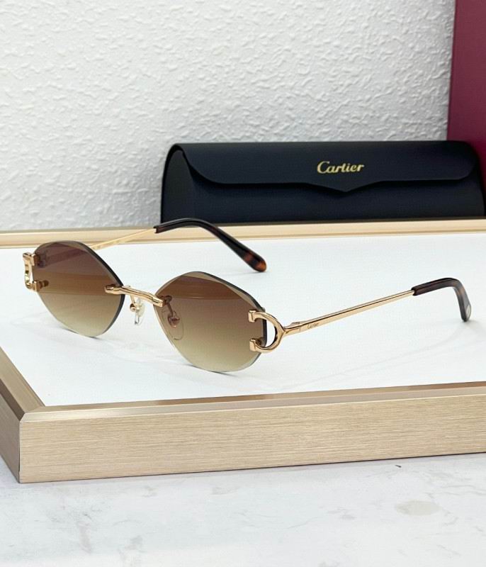 Cartier Glasses 08smh224 (1)