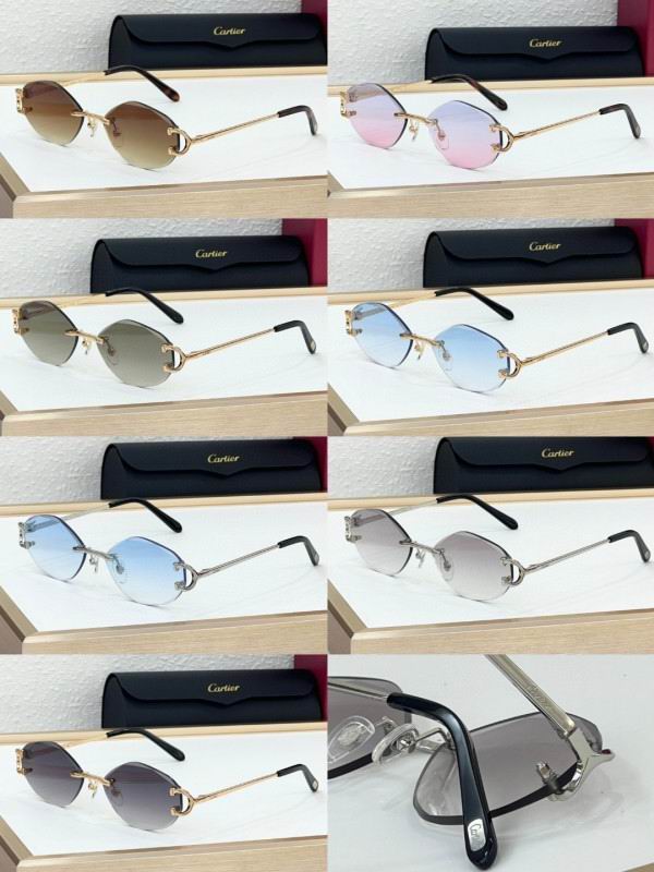 Cartier Glasses 08smh224 (11)